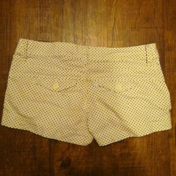 American Rag polka dots shorts - Picture 2 of 2
